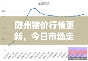 随州猪价行情更新，今日市场走势分析