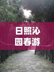 日照沁园春游玩全攻略