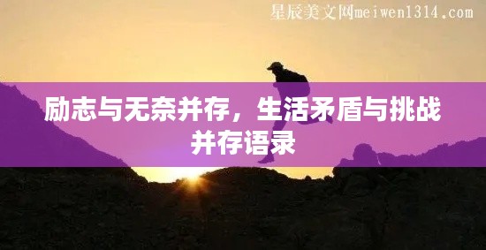 励志与无奈并存，生活矛盾与挑战并存语录