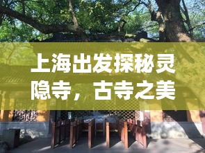 上海出发探秘灵隐寺，古寺之美旅游攻略