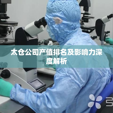 太仓公司产值排名及影响力深度解析