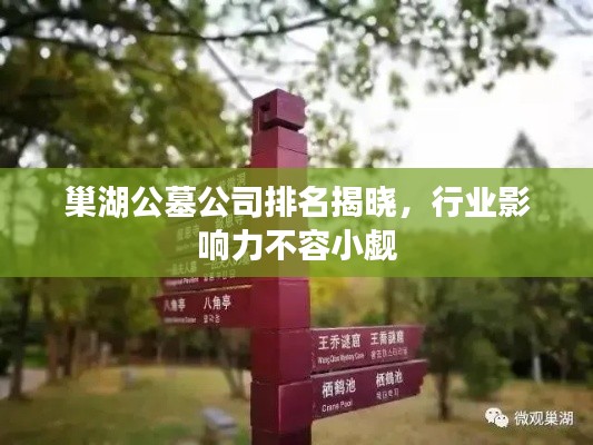 巢湖公墓公司排名揭晓，行业影响力不容小觑