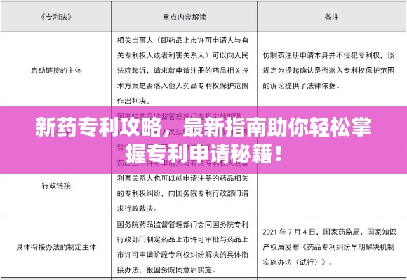 新药专利攻略，最新指南助你轻松掌握专利申请秘籍！