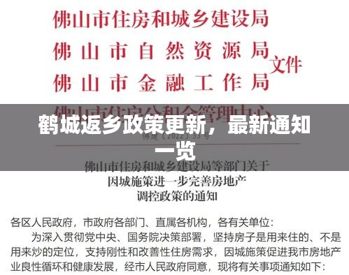 鹤城返乡政策更新，最新通知一览