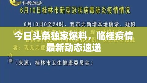 今日头条独家爆料，临桂疫情最新动态速递