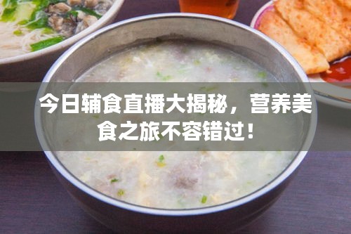 今日辅食直播大揭秘，营养美食之旅不容错过！