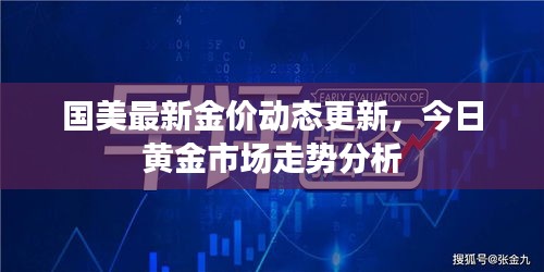 国美最新金价动态更新，今日黄金市场走势分析