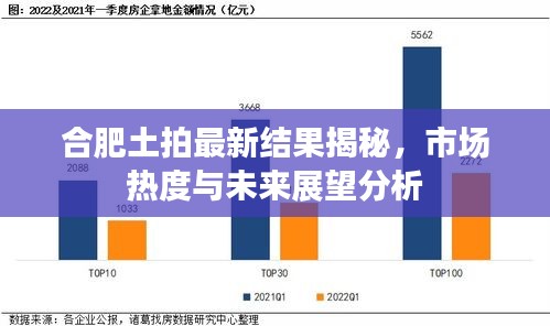 合肥土拍最新结果揭秘，市场热度与未来展望分析