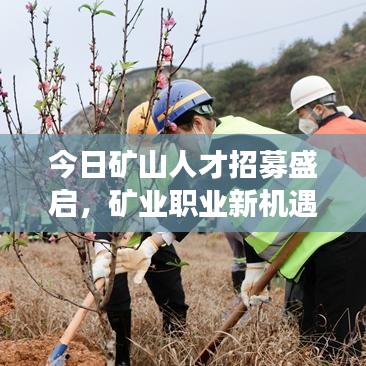 今日矿山人才招募盛启，矿业职业新机遇探索之旅