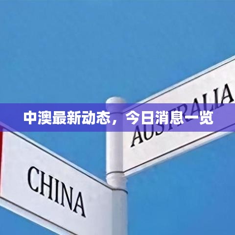 中澳最新动态，今日消息一览