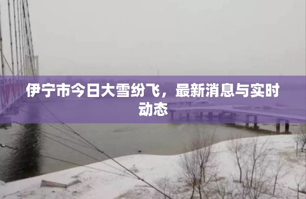 伊宁市今日大雪纷飞，最新消息与实时动态