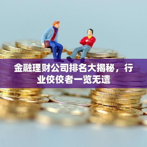 金融理财公司排名大揭秘，行业佼佼者一览无遗