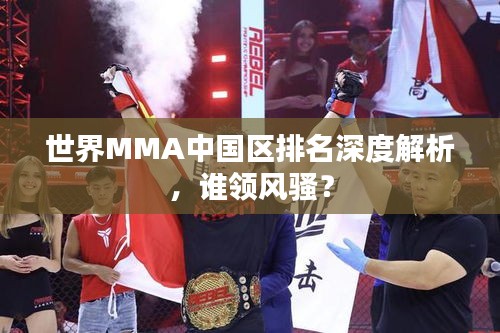 世界MMA中国区排名深度解析，谁领风骚？