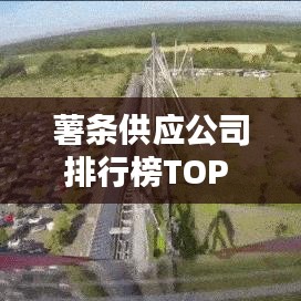 薯条供应公司排行榜TOP - 品质与口感兼备的薯条供应商一览