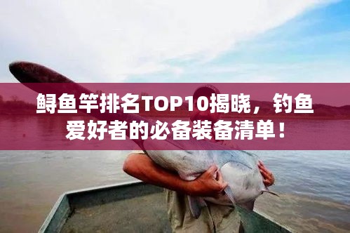 鲟鱼竿排名TOP10揭晓，钓鱼爱好者的必备装备清单！