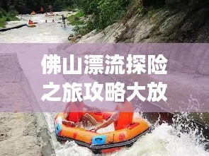 佛山漂流探险之旅攻略大放异彩！