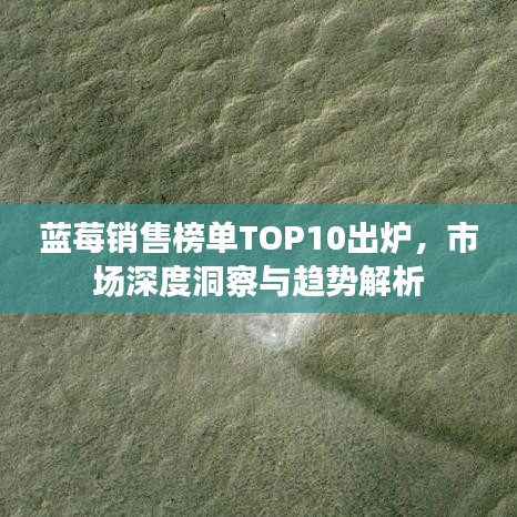 蓝莓销售榜单TOP10出炉，市场深度洞察与趋势解析