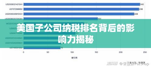 美国子公司纳税排名背后的影响力揭秘