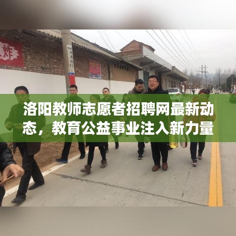 洛阳教师志愿者招聘网最新动态，教育公益事业注入新力量