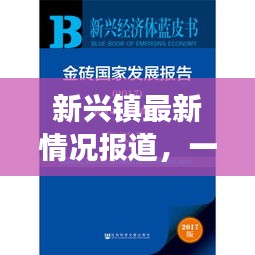 新兴镇最新情况报道，一览今日发展成果