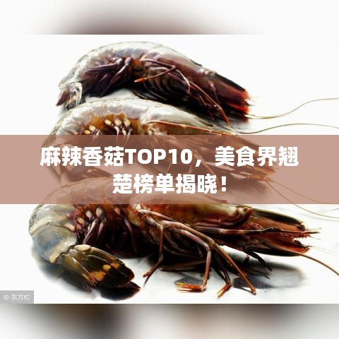 麻辣香菇TOP10，美食界翘楚榜单揭晓！