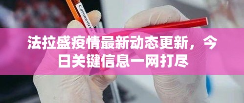 法拉盛疫情最新动态更新，今日关键信息一网打尽