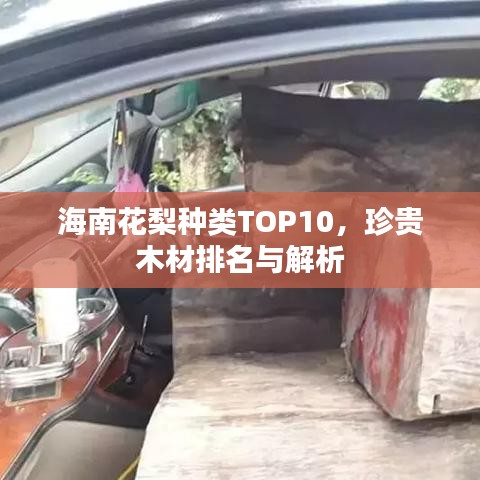 海南花梨种类TOP10，珍贵木材排名与解析