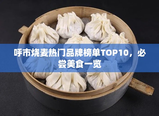 呼市烧麦热门品牌榜单TOP10，必尝美食一览