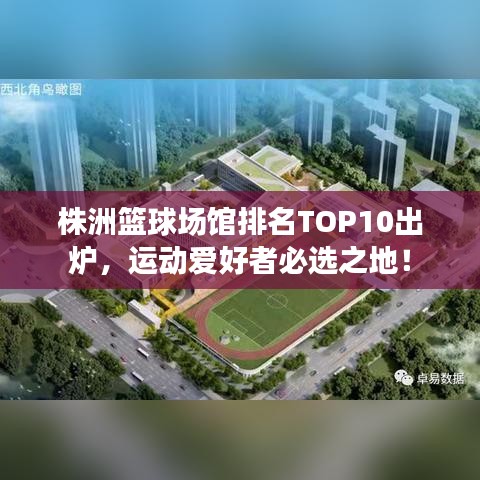 株洲篮球场馆排名TOP10出炉，运动爱好者必选之地！