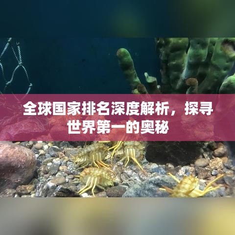 全球国家排名深度解析，探寻世界第一的奥秘