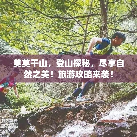 莫莫干山，登山探秘，尽享自然之美！旅游攻略来袭！