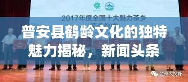 普安县鹤龄文化的独特魅力揭秘，新闻头条探寻之旅