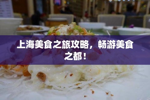 上海美食之旅攻略，畅游美食之都！