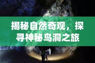 揭秘自然奇观，探寻神秘鸟洞之旅