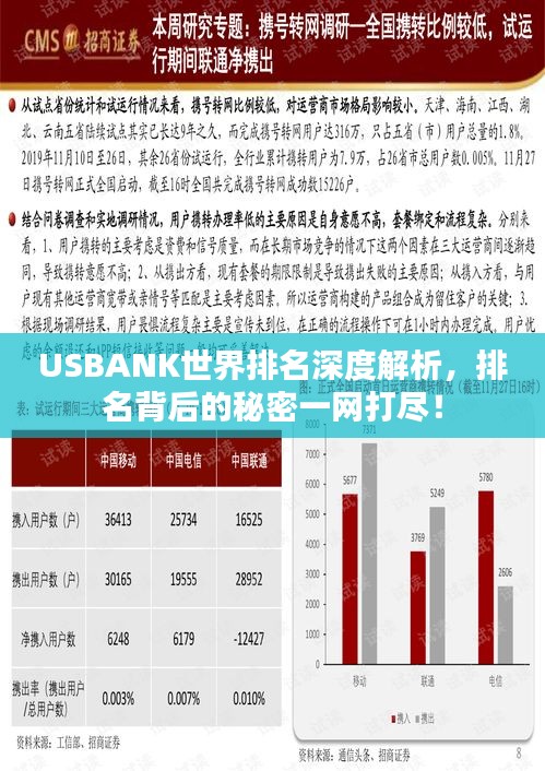 USBANK世界排名深度解析，排名背后的秘密一网打尽！