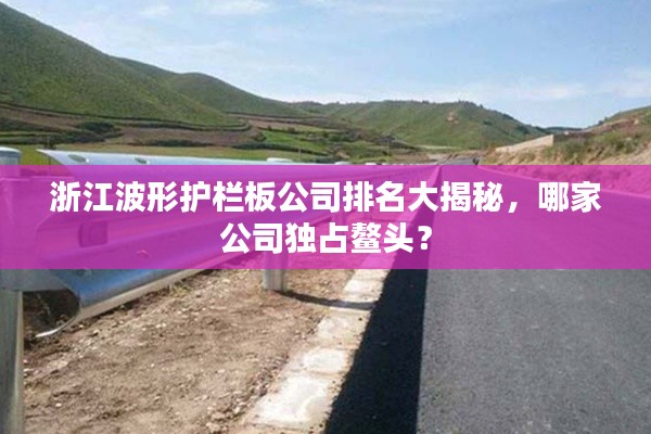 浙江波形护栏板公司排名大揭秘，哪家公司独占鳌头？