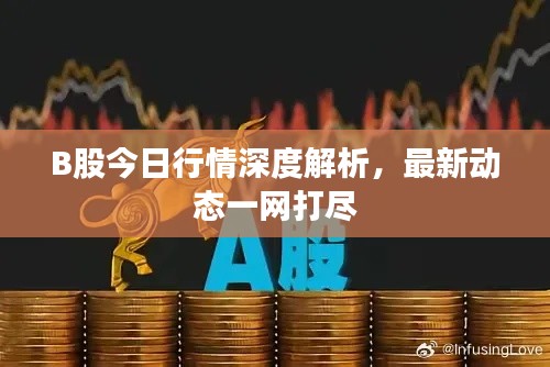 B股今日行情深度解析，最新动态一网打尽