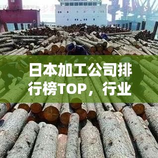 日本加工公司排行榜TOP，行业巨头一览