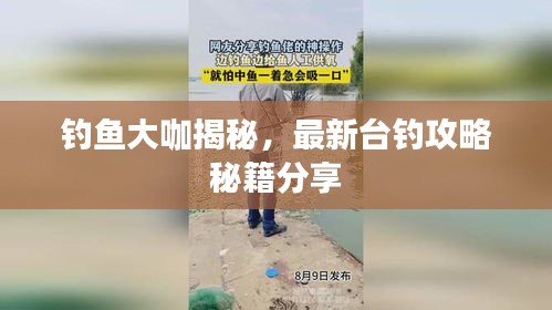 钓鱼大咖揭秘，最新台钓攻略秘籍分享