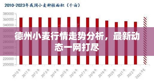 德州小麦行情走势分析，最新动态一网打尽