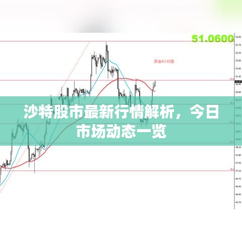 沙特股市最新行情解析，今日市场动态一览