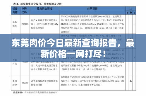 东莞肉价今日最新查询报告，最新价格一网打尽！