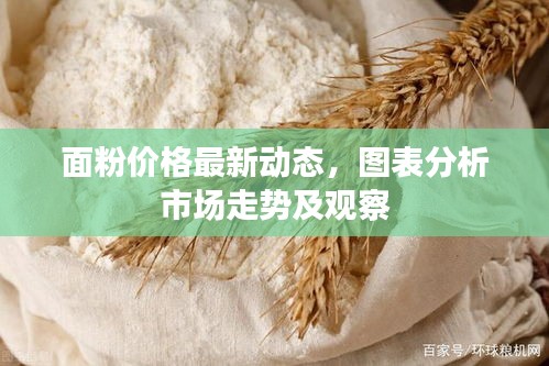 面粉价格最新动态，图表分析市场走势及观察