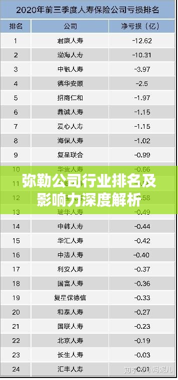 弥勒公司行业排名及影响力深度解析