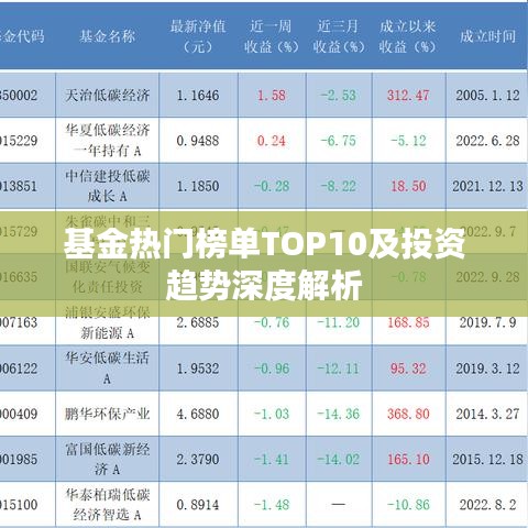 基金热门榜单TOP10及投资趋势深度解析