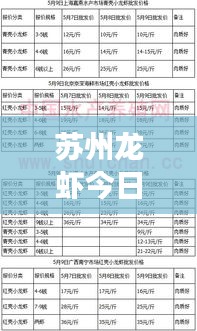 苏州龙虾今日行情，最新价格与市场动态速递