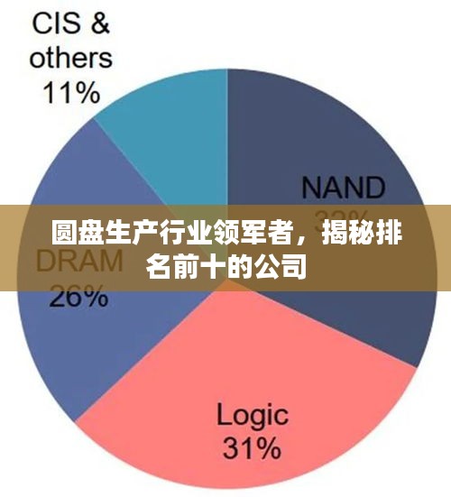 圆盘生产行业领军者，揭秘排名前十的公司