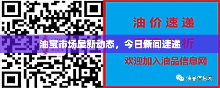 油宝市场最新动态，今日新闻速递