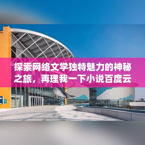 探索网络文学独特魅力的神秘之旅，再理我一下小说百度云