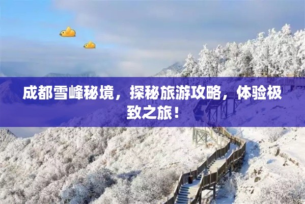 成都雪峰秘境，探秘旅游攻略，体验极致之旅！